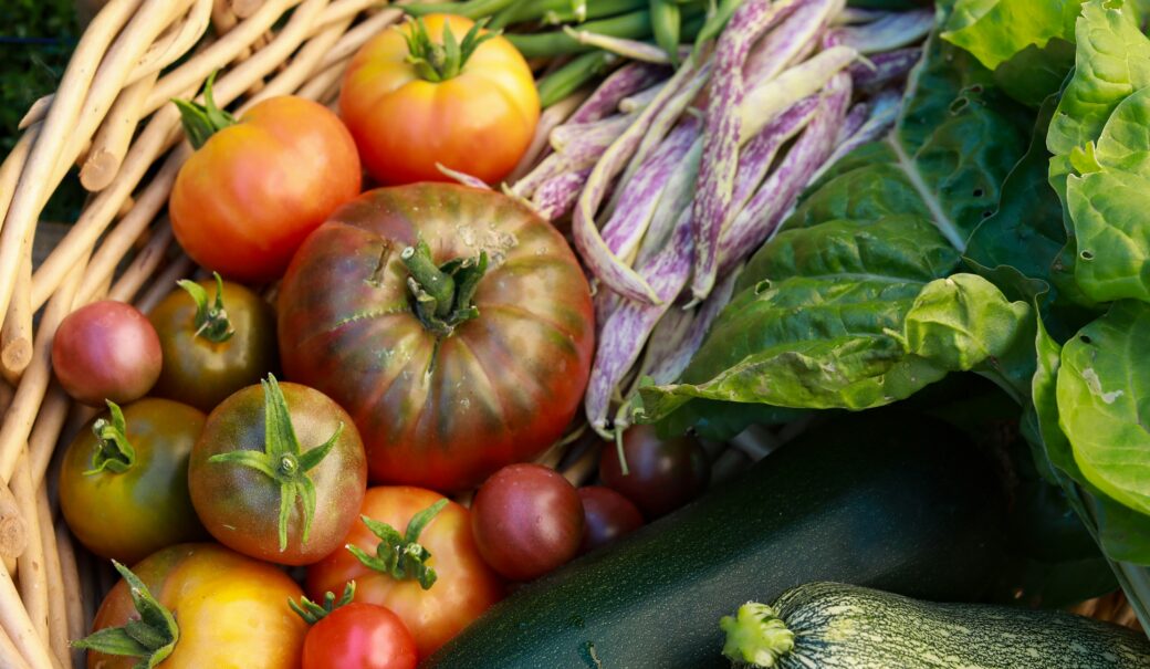 Paradeiser, Zucchini und Salat liegt frisch geerntet in einem Korb